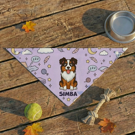 Bandana : "Pour animal chill"